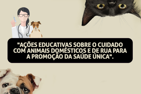 Ações educativas sobre o cuidado com animais domésticos e de rua