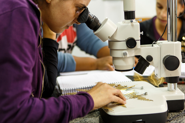 imagem ilustrativa de estudantes em um laboratório realizando pesquisa científica