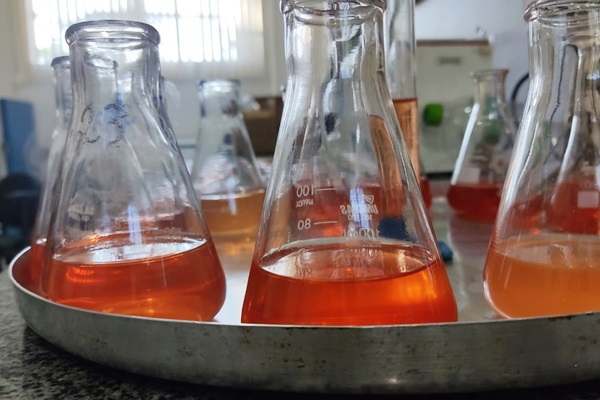 Imagem com uma bandeja de ferro e vários vidros de laboratório com líquido laranja dentro