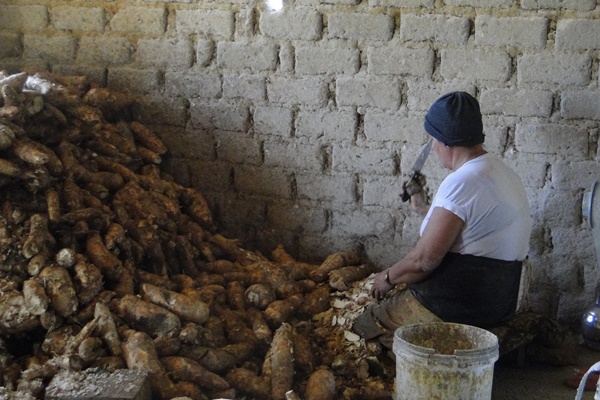 Imagem de uma senhora de blusa branca e touca preta sentada em um banco com uma faca na mão em frente a várias mandiocas. Ao lado dela, um balde branco sujo. Ao fundo, uma paede cinza.