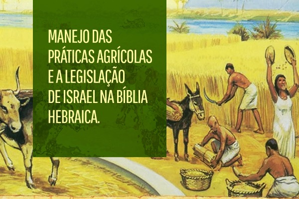 Capa: Manejo das práticas agrícolas e a legislação de Israel na bíblia hebraica. Ao fundo, ilustração com homens e mulheres do campo fazendo a colheita em uma plantação com a ajuda de animais como boi e jumento.