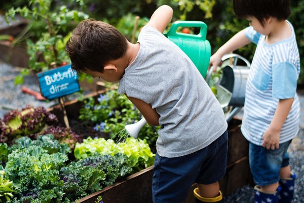 Imagem de dois meninos, com regadores na mão, regando uma horta com vegetais verdes. No fundo, é possível ver ainda uma placa fincada na terra da horta. Os meninos estão em pé, o primeiro com uma camiseta cinza e uma bermuda azul escura, e o segundo, mais ao fundo, com uma camisa listrada azul e branca e um short jeans.