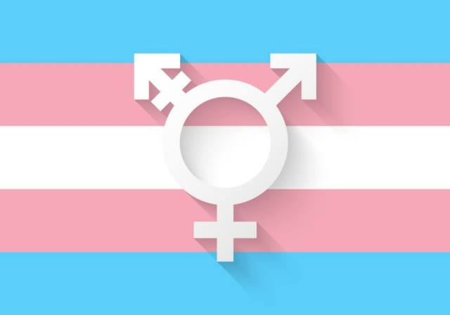 Bandeira retangular com duas faixas horizontais, nas cores azul e rosa que se intercalam. Sobre elas o símbolo que representa a diversidade sexual na cor branca.