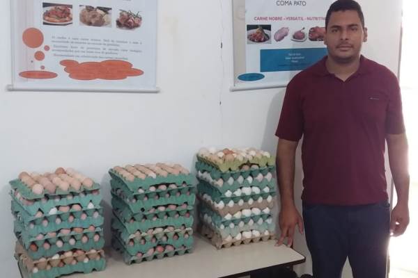 Caixas de ovos que foram doadas