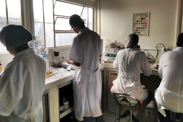 Pesquisadores no laboratório de pesquisa usando jaleco de costas para a foto