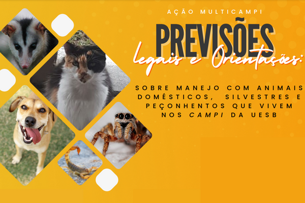 Capacitação “Previsões legais e orientações sobre Manejo com animais domésticos, silvestres e peçonhentos”