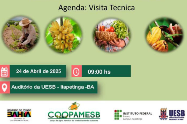 Visita Técnica