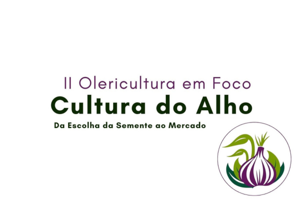 2º Olericultura em Foco – Cultura do Alho