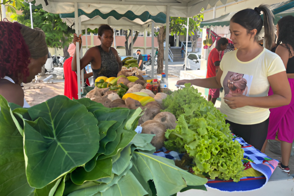 Feira Agroecológica