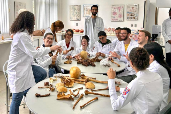 Vestibular 2026: quais cursos de Saúde estão disponíveis na Uesb?