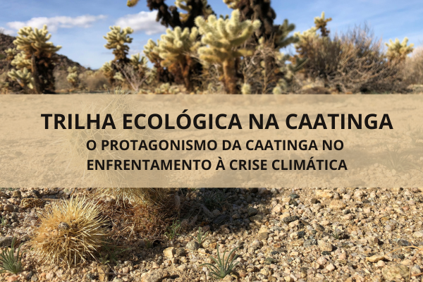 Trilha Ecológica na Caatinga