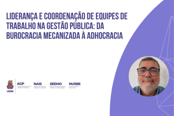Liderança e coordenação de equipes de trabalho na gestão pública: da burocracia mecanizada à adhocracia